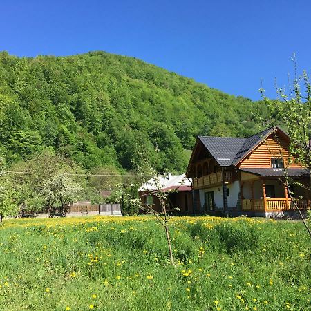 Villa Casa Nova Vişeu de Sus Esterno foto